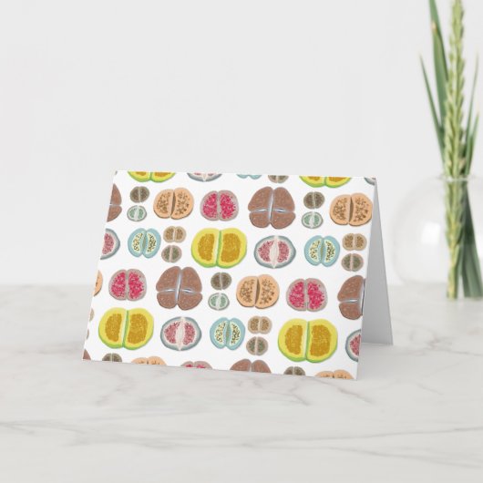 Lithops - transparent karte (Vorderseite)