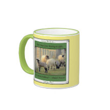 Lititz PA. Zurückgekommen! Niedliche Schafe!