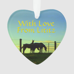 Lititz Verzierung! Bauernhof-Leben! Bald an Ornament