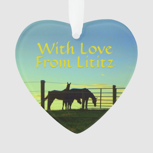 Lititz Verzierung! Bauernhof-Leben! Bald an Ornament (Vorderseite)