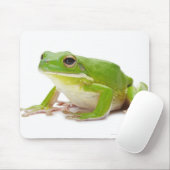 Litora Infrafrenata, Frosch Mousepad (Mit Mouse)