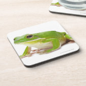 Litora Infrafrenata, Frosch Untersetzer (Linke Seite)