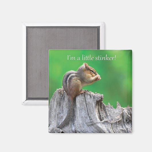 Litte Stinker Magnet (Vorderseite/Rückseite)