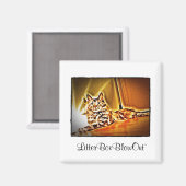 LitterBoxBlowOut Magnet (Vorderseite/Rückseite)