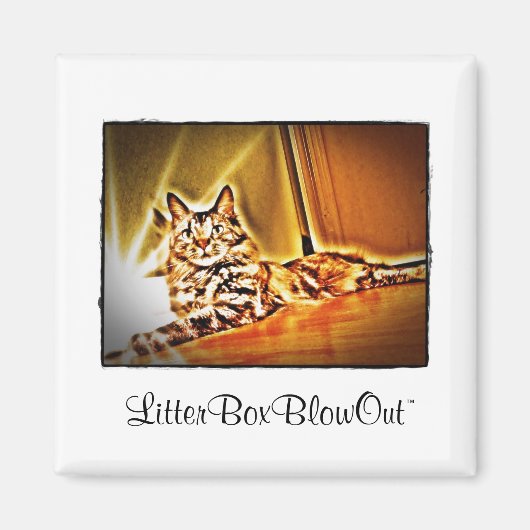 LitterBoxBlowOut Magnet (Vorne)