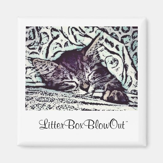 LitterBoxBlowOut Magnet (Vorne)