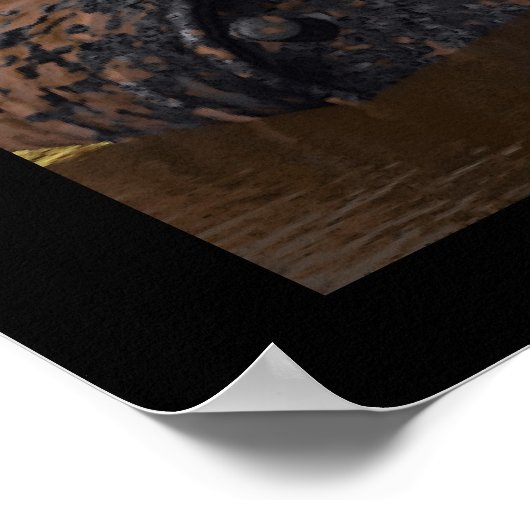 Litterbugs Poster (Ecke)