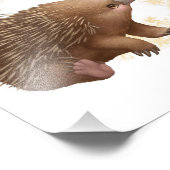 Little Aussie Friends - Echidna Fotodruck (Ecke)
