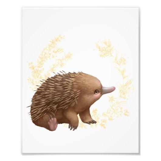 Little Aussie Friends - Echidna Fotodruck (Vorne)