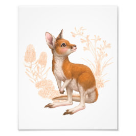 Little Aussie Friends - Kangaroo - Farbe Fotodruck