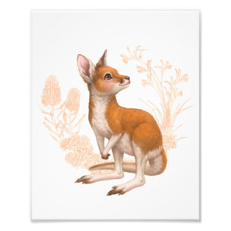 Little Aussie Friends - Kangaroo - Farbe Fotodruck