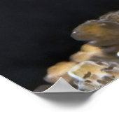 Little Baby Boxfish Poster (Ecke)