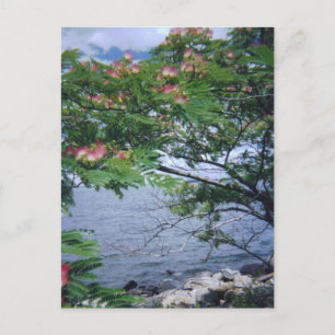 Little Bay Park, Queens, NY Postkarte