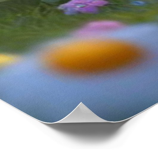 Little Bears Daisies 1 Poster (Ecke)