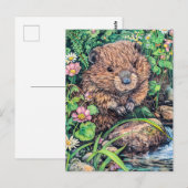 Little Beaver von der Creek Bank Postkarte (Vorne/Hinten)