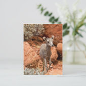 Little Big Horn Postkarte (Stehend Vorderseite)
