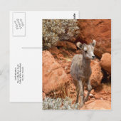 Little Big Horn Postkarte (Vorne/Hinten)
