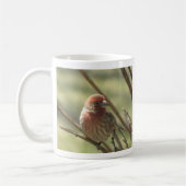 Little Bird auf Leinwand Kaffeetasse (Links)