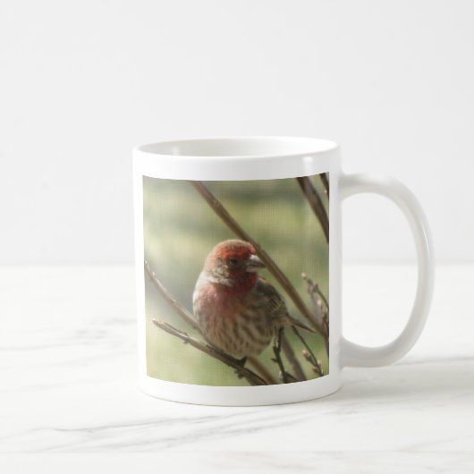 Little Bird auf Leinwand Kaffeetasse (Rechts)