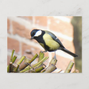 Little Bird auf Top Nah Up DIY Postkarte