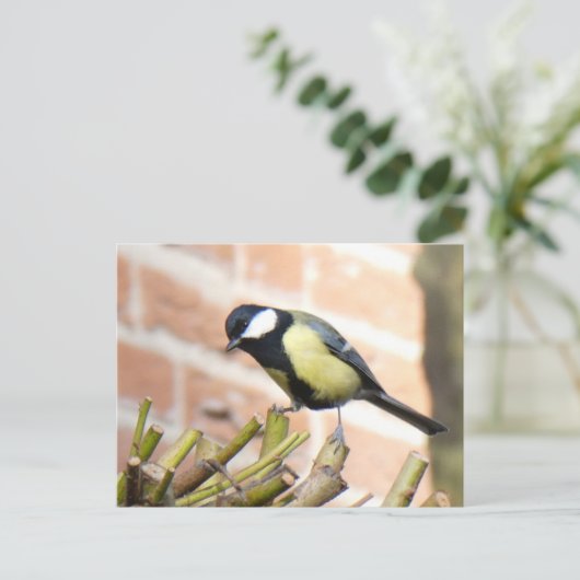 Little Bird auf Top Nah Up DIY Postkarte (Stehend Vorderseite)