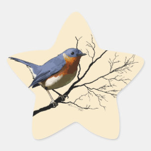 Little Bird Blue, Aufkleber