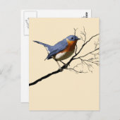 Little Bird Blue, Postkarte (Vorne/Hinten)