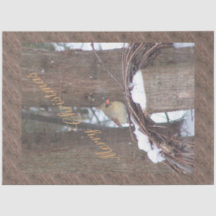 Little Bird Christmas wünscht Seidenpapier