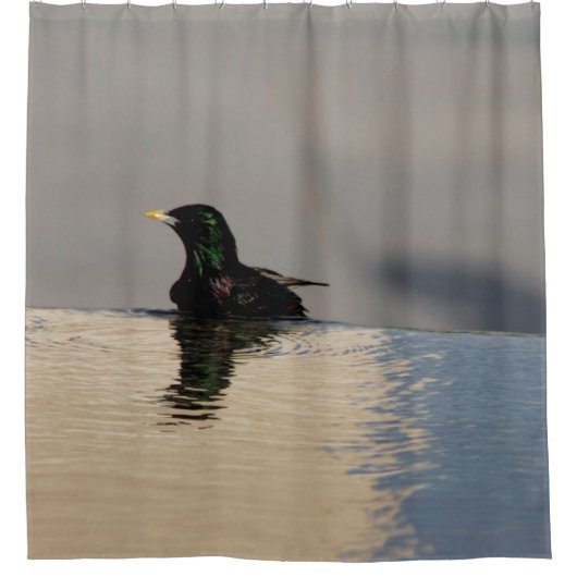 Little Bird Duschvorhang (Vorderseite)