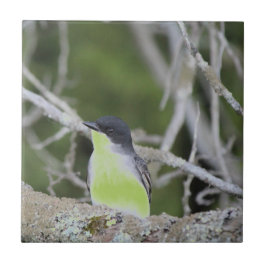 Little Bird Keramik Tile Fliese