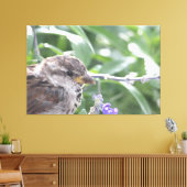Little Bird Leinwand Art (Insitu (Wohnzimmer))