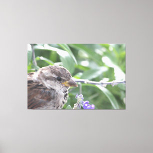 Little Bird Leinwand Art