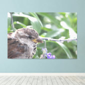 Little Bird Leinwand Art (Insitu (Holzboden))