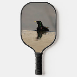 Little Bird Pickleball Schläger