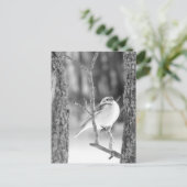 Little Bird Postkarte (Stehend Vorderseite)