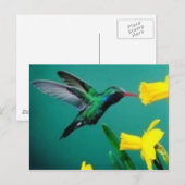 Little Bird Postkarte (Vorne/Hinten)