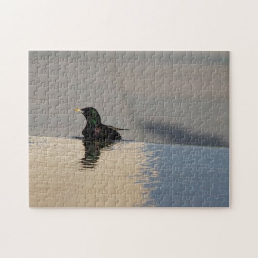 Little Bird Puzzle (Horizontal)