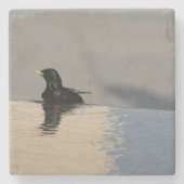 Little Bird Steinuntersetzer (Vorderseite)