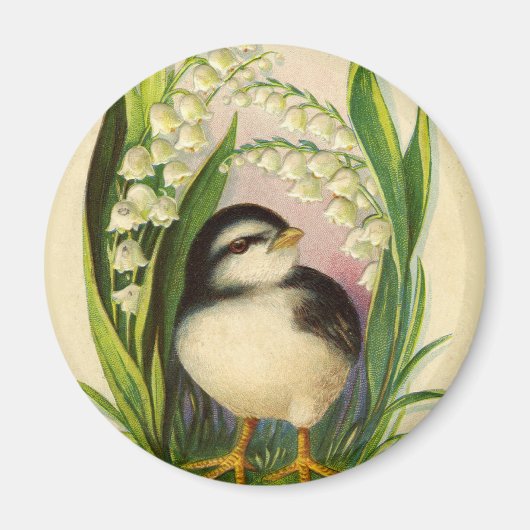 Little Bird Vintag Magnet (Vorne)