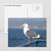 Little Birdy Postkarte (Vorne/Hinten)
