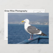 Little Birdy Postkarte (Vorne/Hinten)