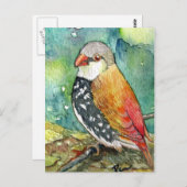 Little Birdy Postkarte (Vorne/Hinten)