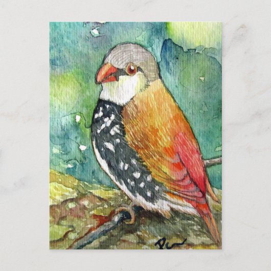 Little Birdy Postkarte (Vorderseite)