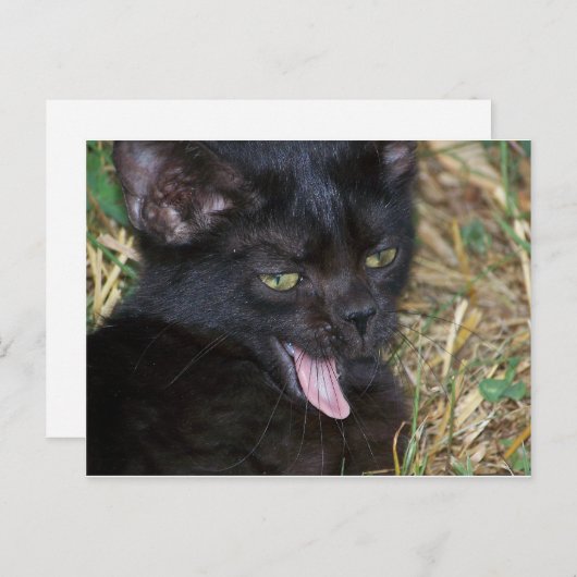 Little Bitt Postkarte (Vorne/Hinten)