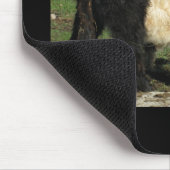 Little Black Beltie Calf Mousepad (Ecke)