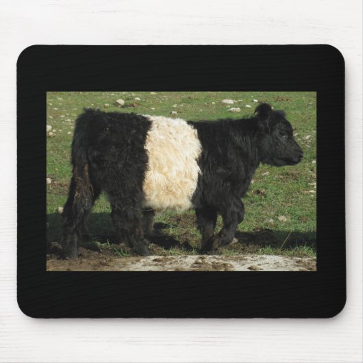 Little Black Beltie Calf Mousepad (Vorne)