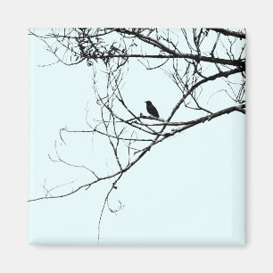 Little Black Bird Magnet