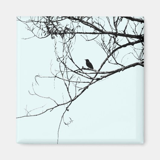Little Black Bird Magnet (Vorne)