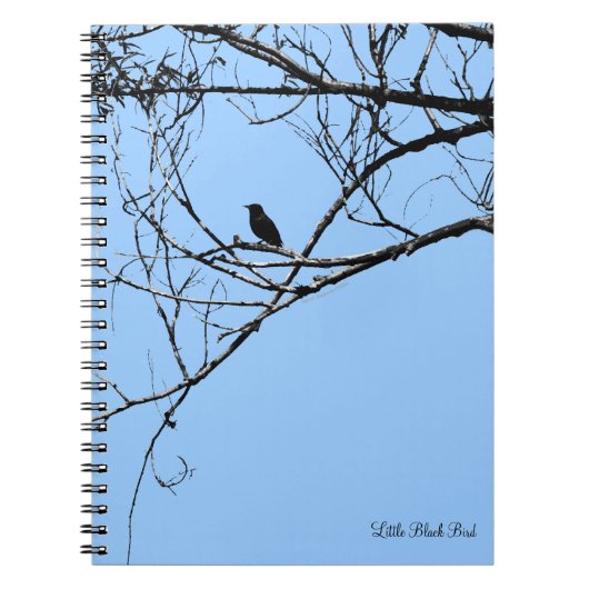 Little Black Bird-Notebook Notizblock (Vorderseite)