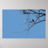 Little Black Bird Poster (Vorne)